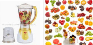 水果榨汁機