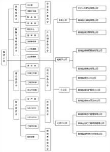青海鹽湖工業集團股份有限公司組織結構