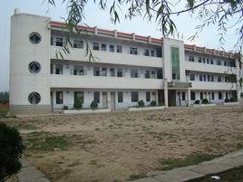 新張集中心學校 新張集中心學校