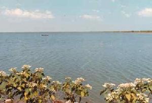 杜白二湖 杜白二湖