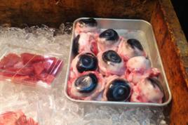 鮪魚眼睛 鮪魚眼睛