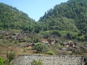 天算林自然村 天算林自然村