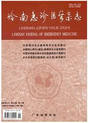 《嶺南急診醫學雜誌》