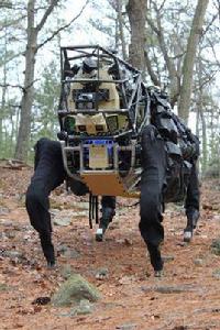 波士頓機械狗 波士頓機械狗