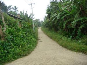 俄羅自然村-村道