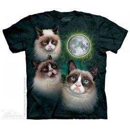 THE MOUNTAIN THE MOUNTAIN