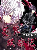 靈界雙魂記 靈界雙魂記