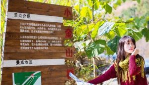 千島湖小金山驛站