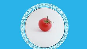 莎龍番茄 莎龍番茄