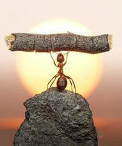 內心強大 內心強大