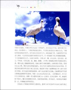 《野生動物:人類的朋友》