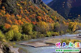 恰普河白溝風景區 恰普河白溝風景區