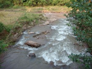 大高埂村 大高埂村