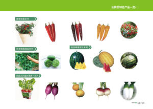 功效特色產品一覽