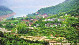 大田荒輔 大田荒輔