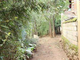 灑大梨村 灑大梨村