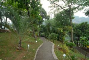 石排灣郊野公園
