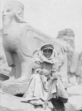 馬克斯&middot;馮&middot;奧本海姆