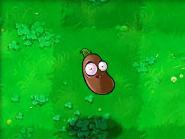 《植物大戰殭屍》[PopCap Games開發的遊戲]