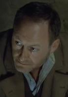 風吹麥浪[2006年肯&middot;洛奇執導電影]