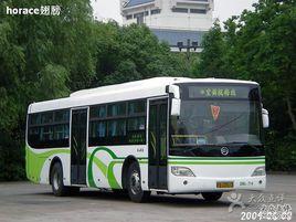 上海公交楓梅線 上海公交楓梅線