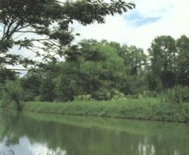 雷奧普拉塔諾 雷奧普拉塔諾