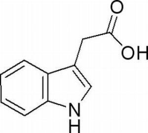 吲哚乙酸 吲哚乙酸