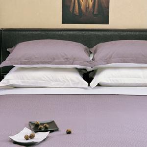 美國喜達屋集團