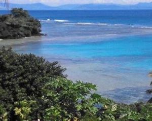 塔韋烏尼島 塔韋烏尼島