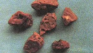 阿魏雷丸散 阿魏雷丸散