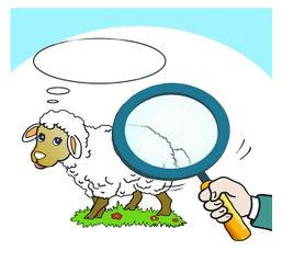 布魯菌病疫苗 布魯菌病疫苗