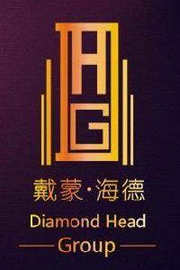 DHG戴蒙海德集團 DHG戴蒙海德集團