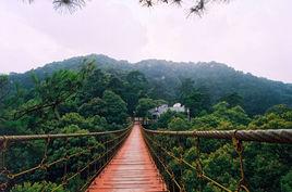 重慶歌樂山國家森林公園