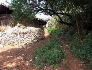 背陰箐村 背陰箐村