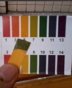 弱酸洗髮水 弱酸洗髮水