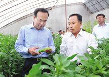 小城子鎮[吉林梨樹縣小城子鎮]