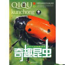 奇趣昆蟲 奇趣昆蟲