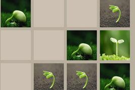 植物求合體 植物求合體