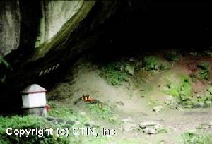 桃園三民蝙蝠洞