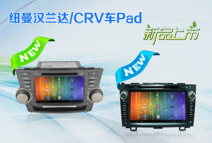 紐曼車pad 紐曼車pad