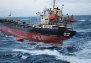 國際貨物運輸保險[保險]