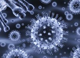 癌症進化論 癌症進化論