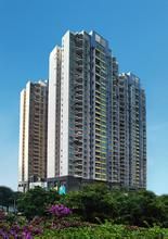 合正星園 合正星園