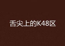 舌尖上的K48區 舌尖上的K48區