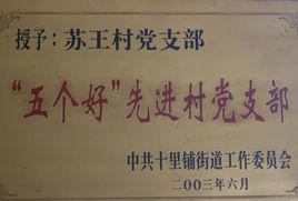 蘇王村[陝西省西安市灞橋區下轄村]