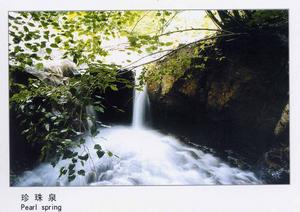 嵖岈山國家森林公園