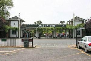 世界著名動物園