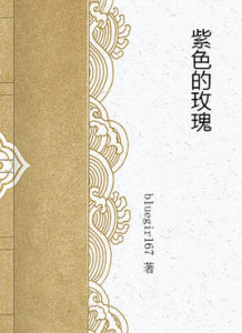 紫色的玫瑰 紫色的玫瑰