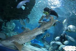 山海關海洋水族館 山海關海洋水族館