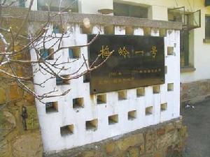 梅嶺一號 梅嶺一號